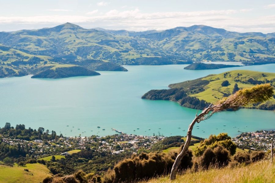 Akaroa road link under scrutiny