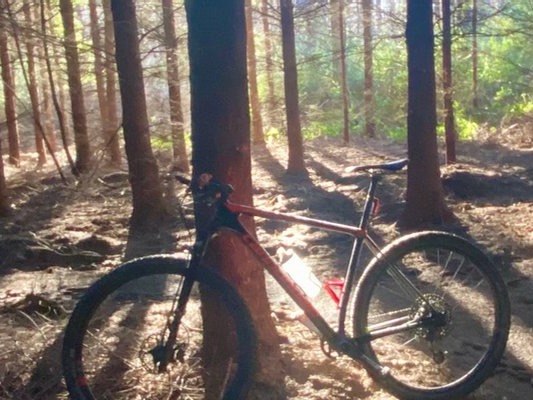 Wellington hopes to jump onto mountain biking map