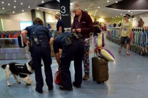 Biosecurity NZ bolsters border teams for peak arrivals