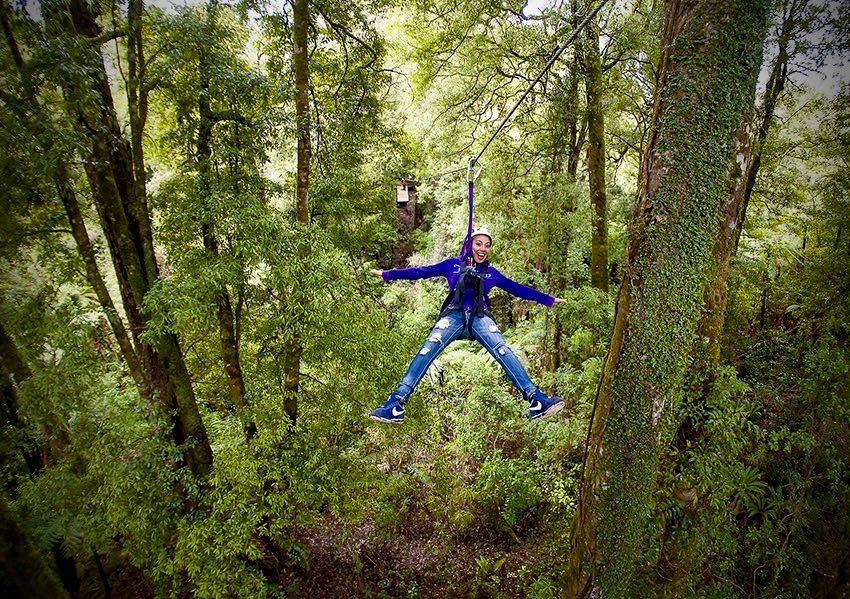 NZ operators among Tripadvisor’s best