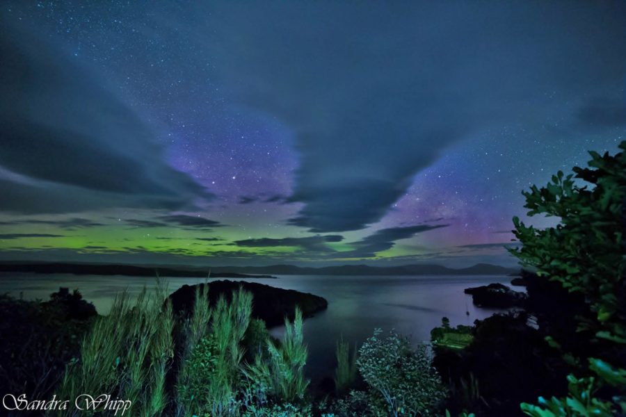 Stewart Island/Rakiura’s dark sky leads to growth