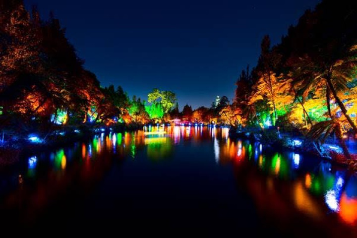 Taranaki light festival attracts 175k