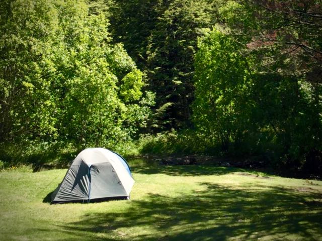 Dunedin commits $140k for freedom camping