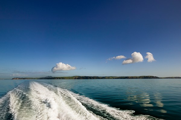 Rangitoto scenic service to restart