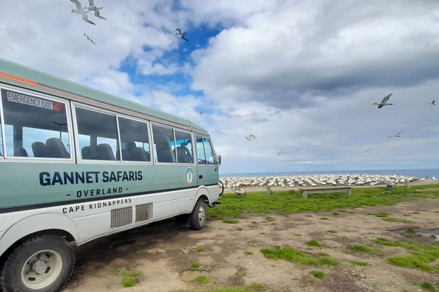 Mixed recovery for Tairāwhiti, Hawke’s Bay operators as floodwaters recede…