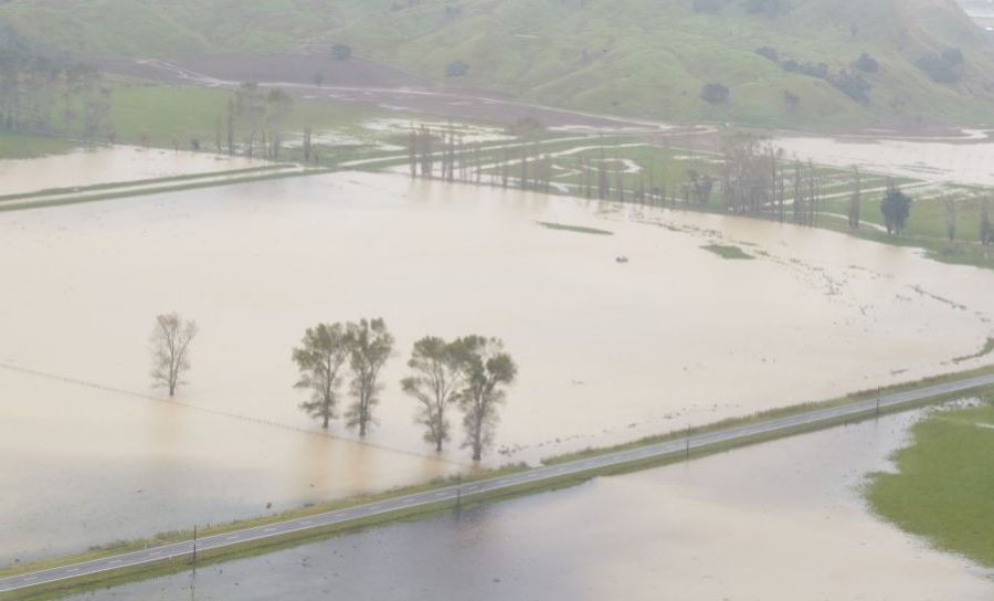 Govt provides $175k for Gisborne recovery