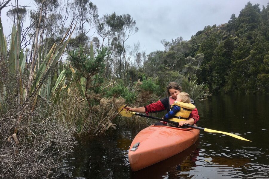 GorseBusters returns to Ōkārito