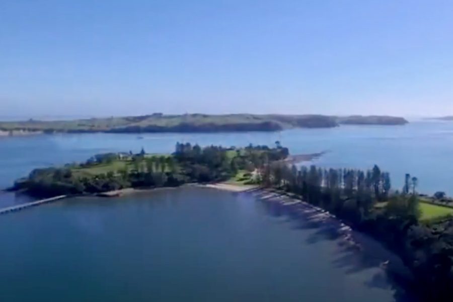 Tourism to benefit from new Hauraki Gulf plan – WWF