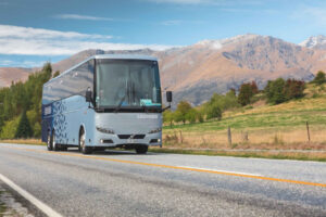 Leopard Coachlines goes into liquidation