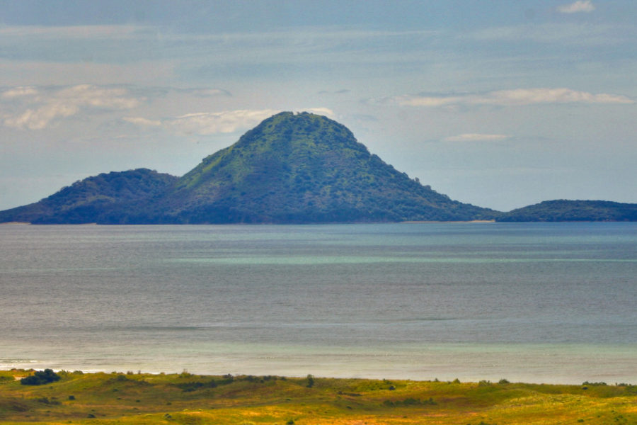 White Island Tours restarts Moutohorā/Whale Island trips