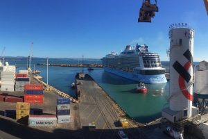 Napier Port marks 1000th cruise visit in busiest season ever