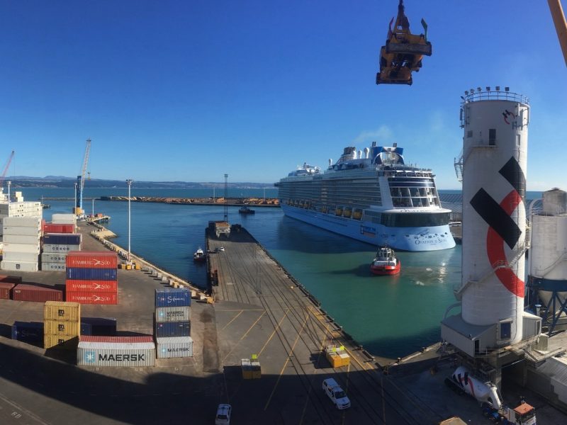 Napier Port marks 1000th cruise visit in busiest season ever