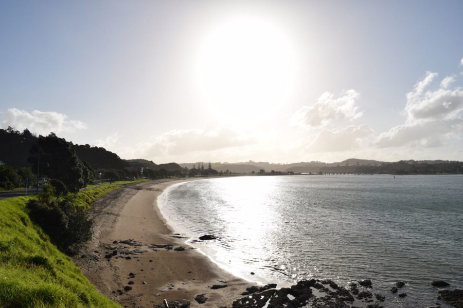 Boaties, fishers urged to help stop spread of exotic seaweed