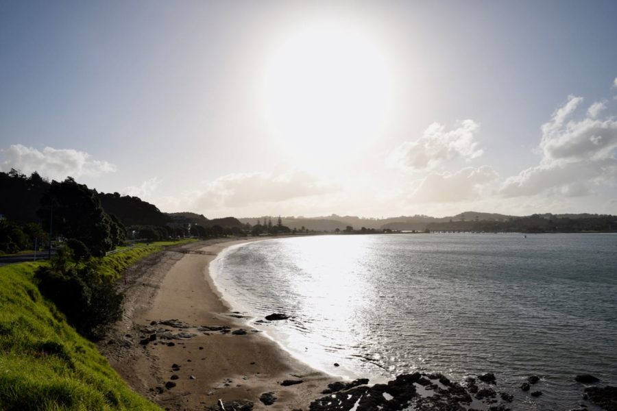 Food & wine festival returns to Paihia