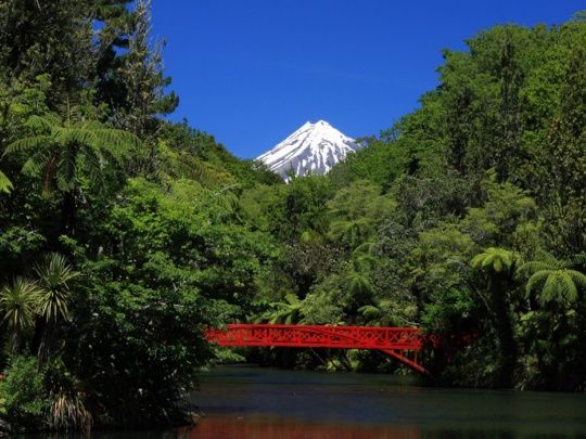 Iconic Taranaki bridge closes for repairs