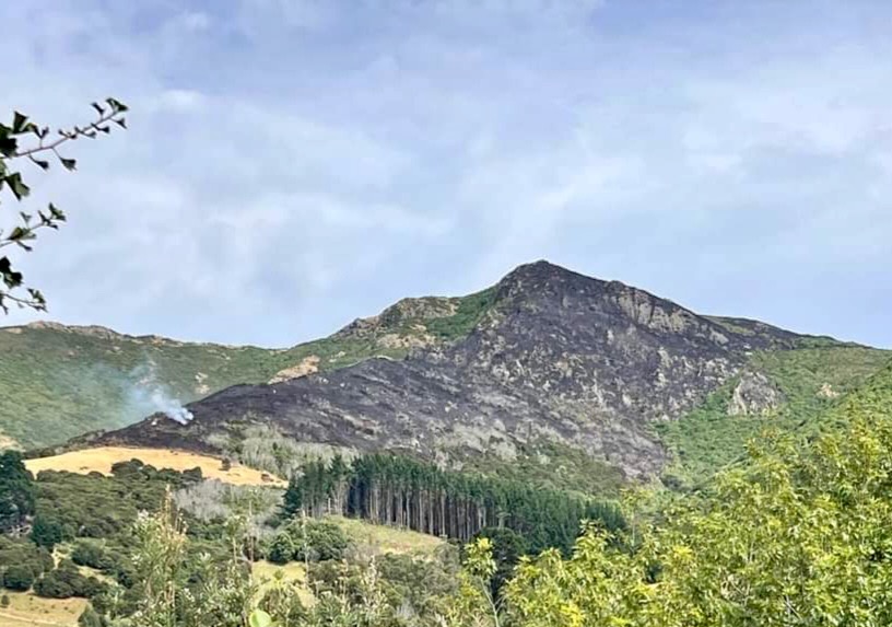 Firefighters continue to tackle hot spots in Christchurch Adventure Park