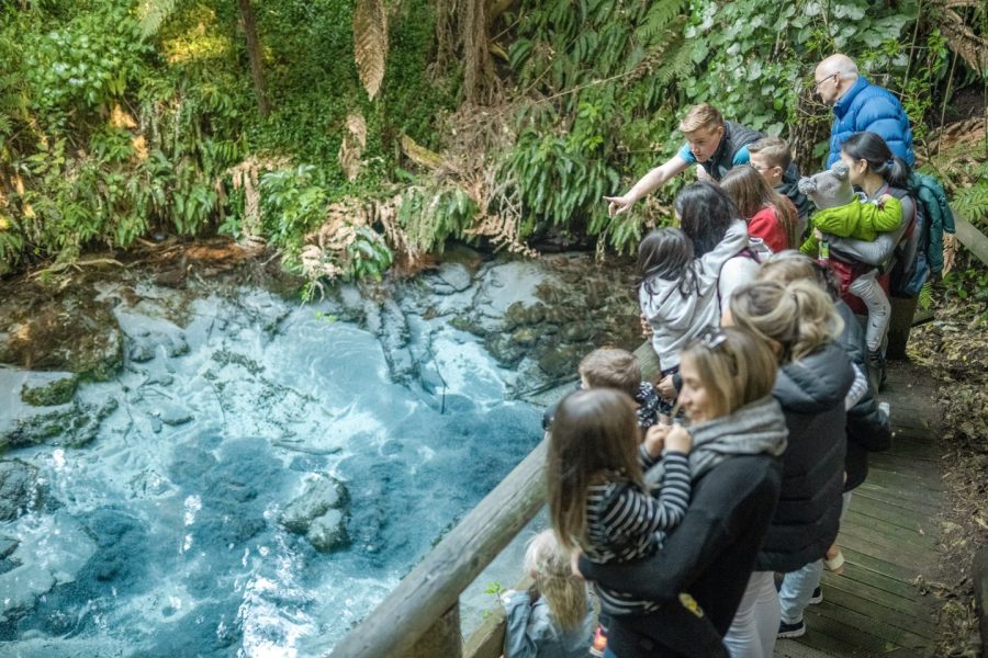 Ngāi Tahu’s Rainbow Springs confirms closure