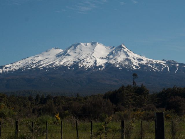 NZ Alpine to review training following fatality