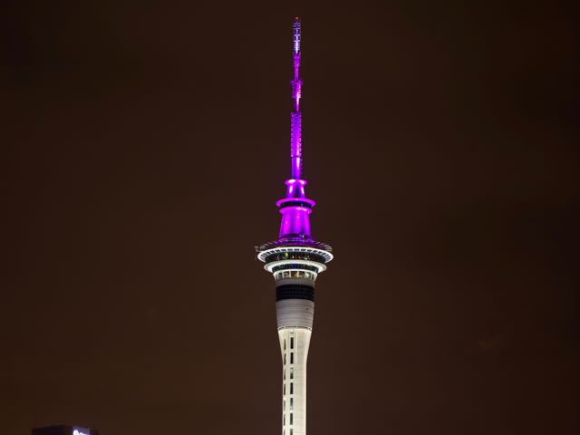 Sky Tower light pollution contributing to seabird injuries – study