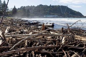 Caution urged around Tairāwhiti coastline