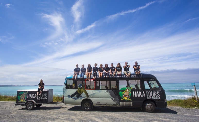 Stray NZ, Haka Tours and Go Orange shine in adventure tourism awards