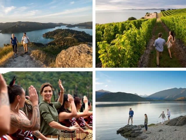 Tourism New Zealand reaps benefits of strong recovery