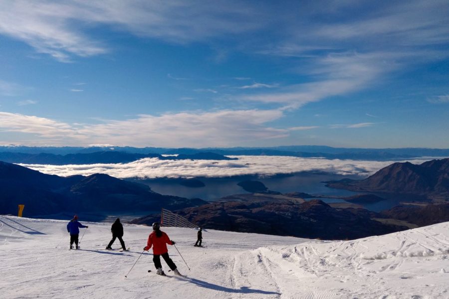 Wayfare’s Lauder on Cardrona’s $7m bid for TC