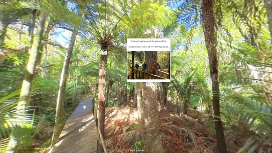 Bush and Beach launches virtual tours