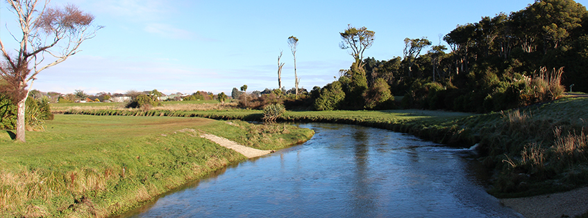 Study to look into health risk of swimming in NZ rivers