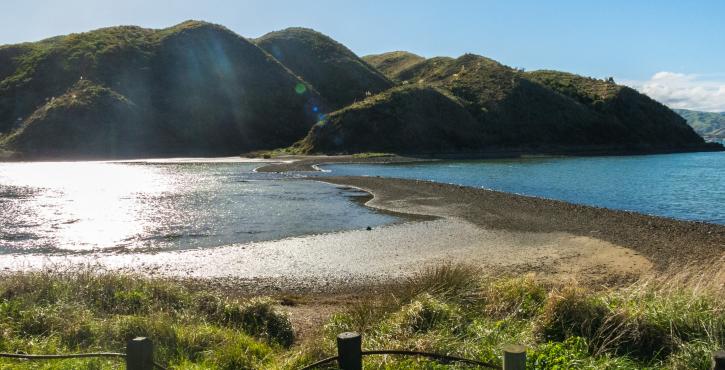 Greater Wellington seeks feedback on regional parks